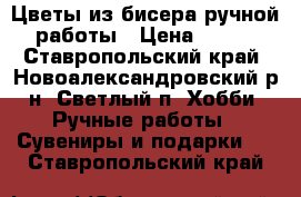 Цветы из бисера ручной работы › Цена ­ 350 - Ставропольский край, Новоалександровский р-н, Светлый п. Хобби. Ручные работы » Сувениры и подарки   . Ставропольский край